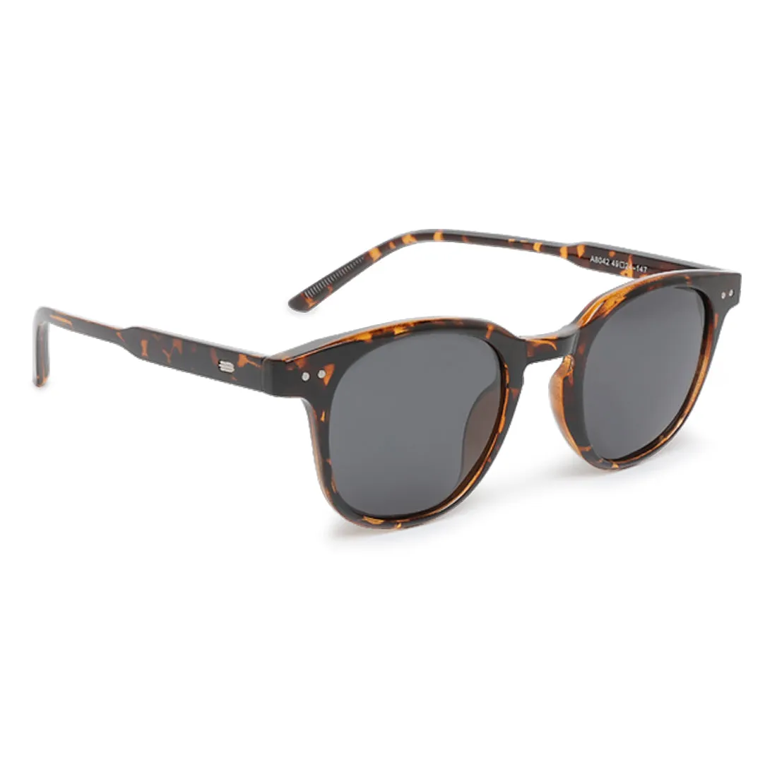 Round Wayfarer Sunglasses